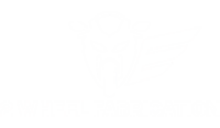 2 Wheel Fabrication